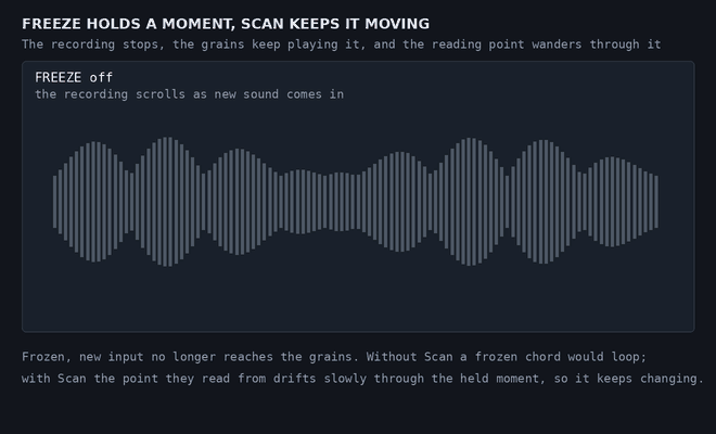 The recording scrolling, then freezing and turning amber while the grains’ reading point drifts through it
